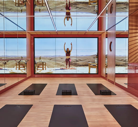 Personal Wellness, Tailored Daily